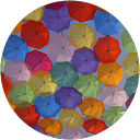 nms kmn profile picture